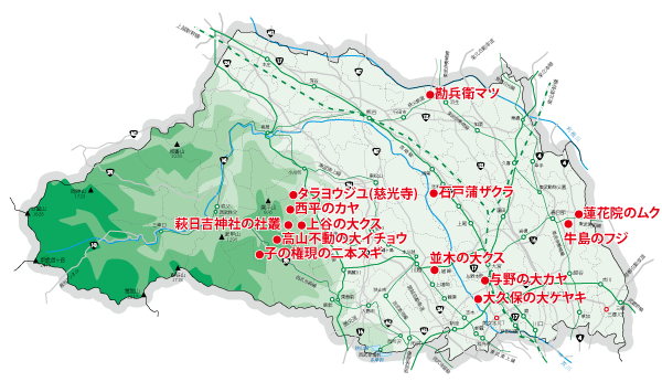 埼玉県巨樹と古木マップ
