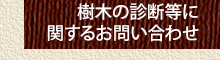 樹木診断依頼