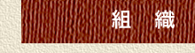 組織